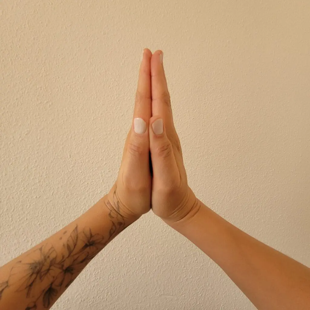 Palmas das mãos unidas
