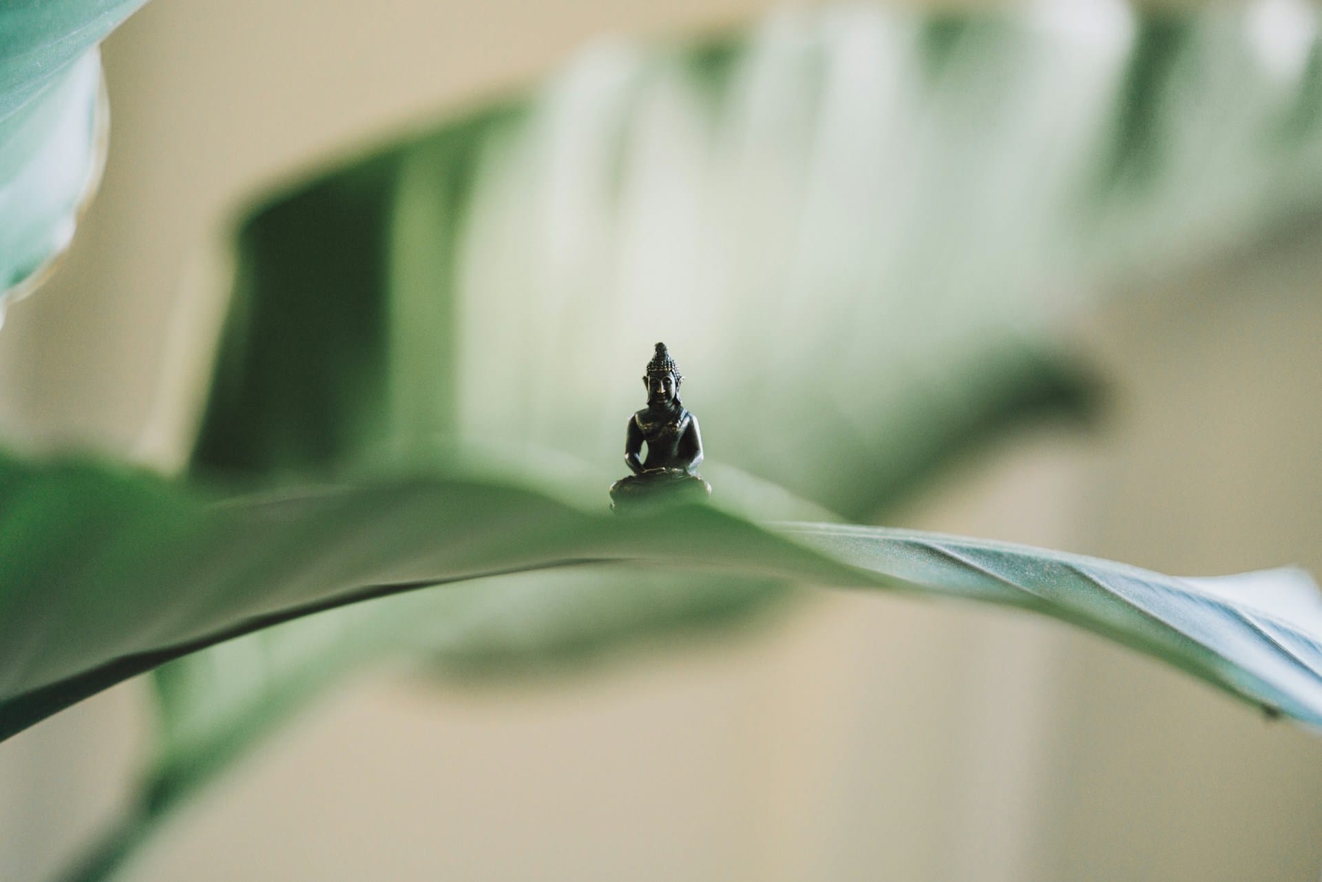 Pequena escultura de um monge meditando colocada em cima de uma planta