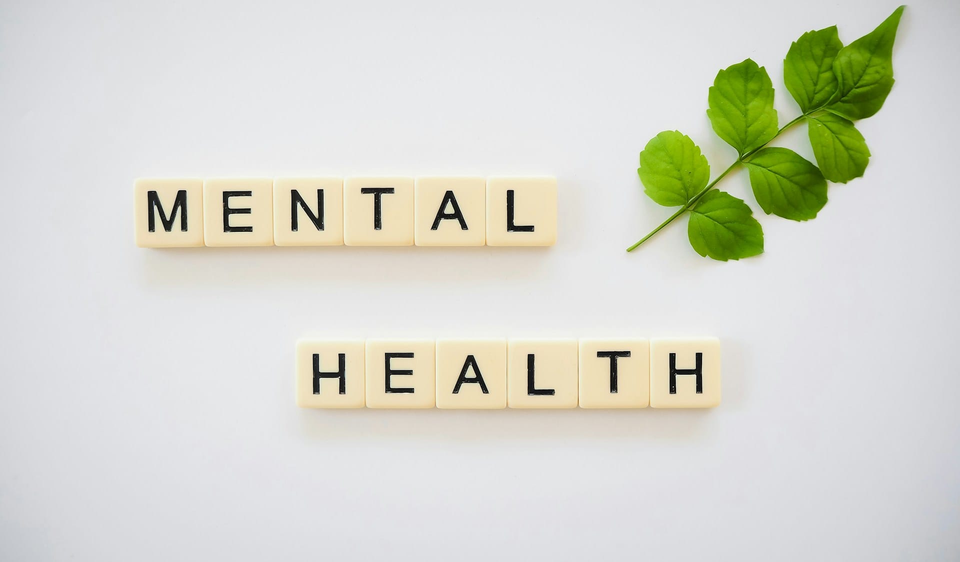 Blocos de letras juntos escrevendo "mental health"
