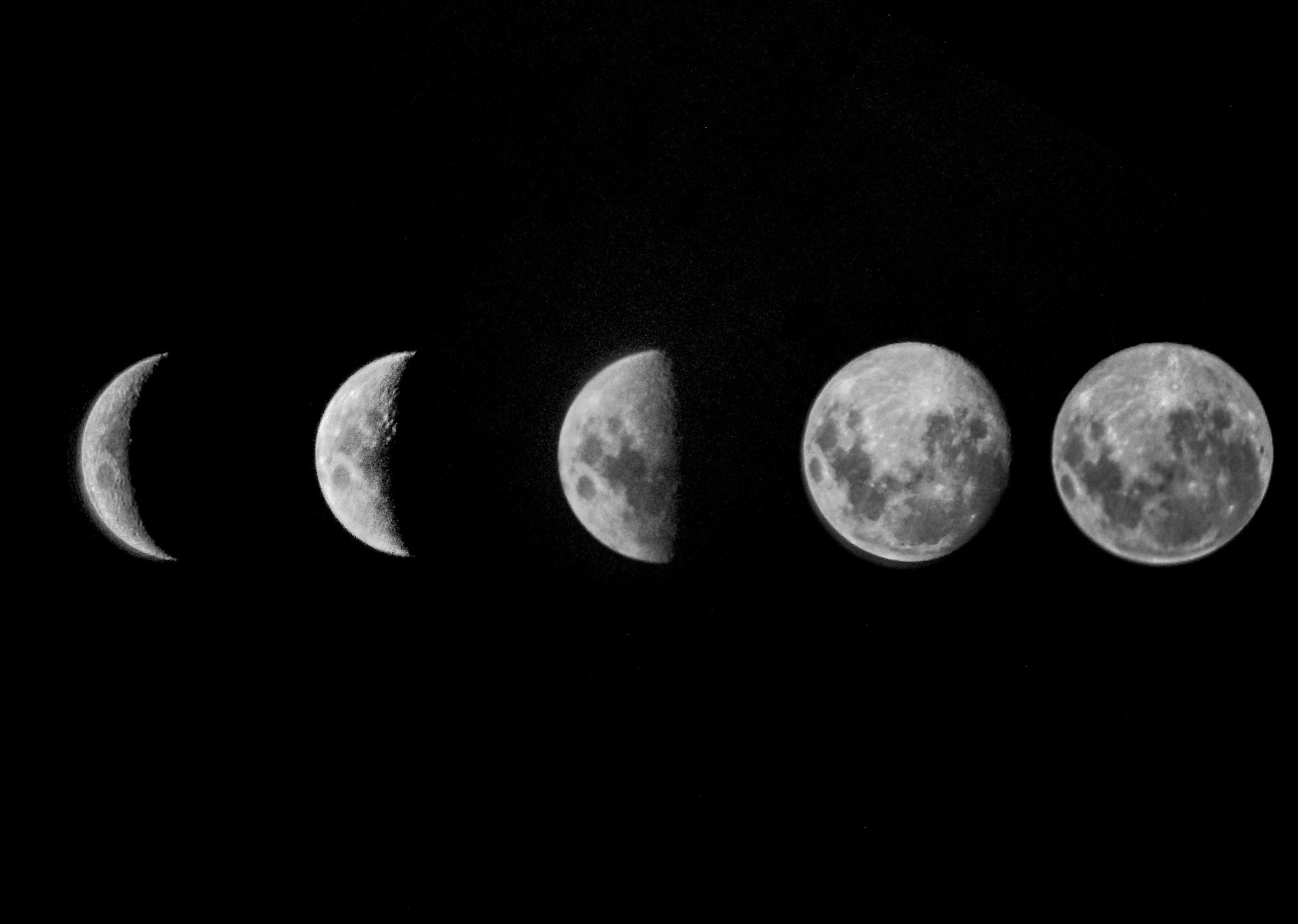 Imagem com fundo preto com as fases da lua